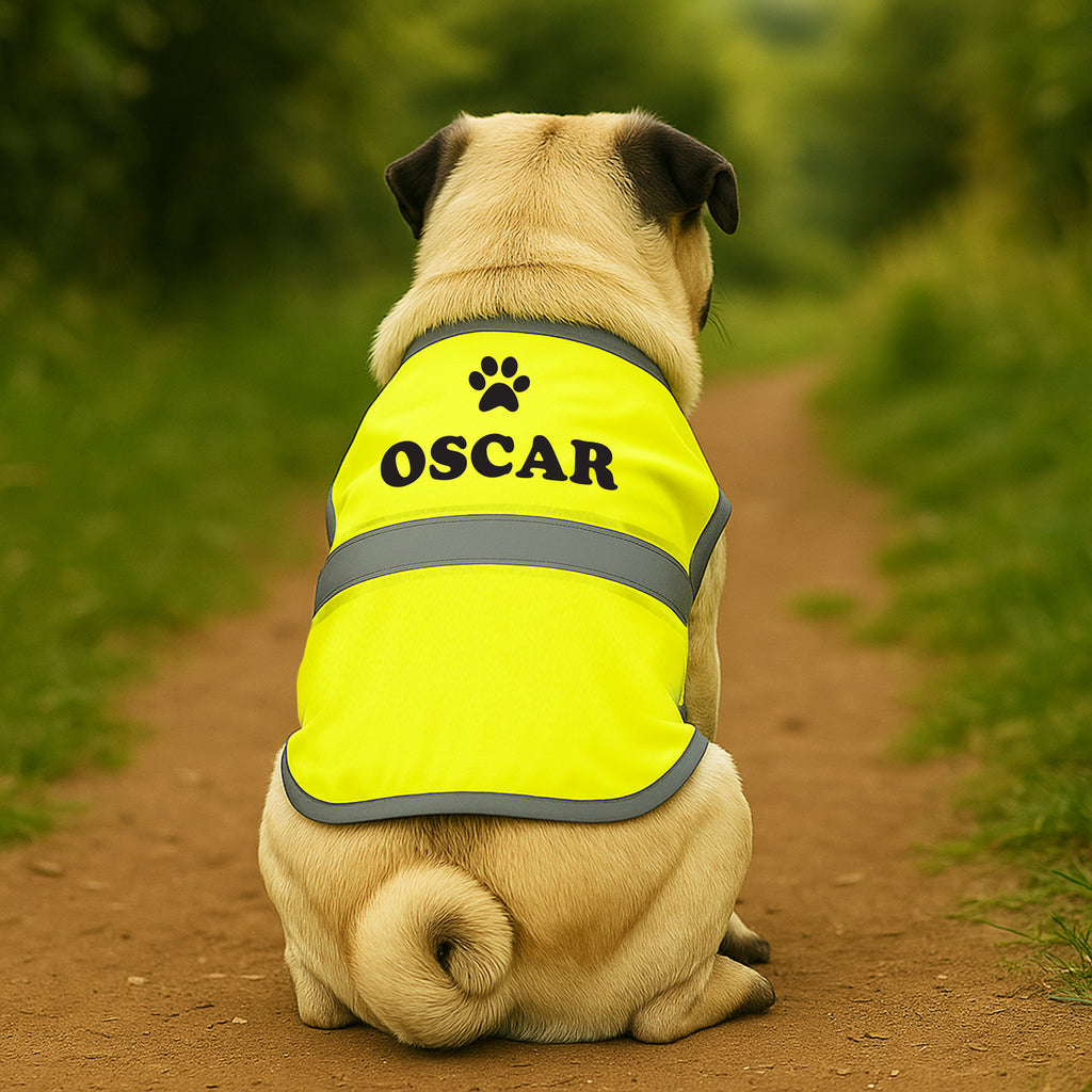 Dog wearing a yellow reflective vest with 'OSCAR' on it, sitting on a dirt path.