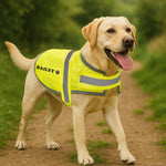 Personalised Reflective Dog Safety Coat