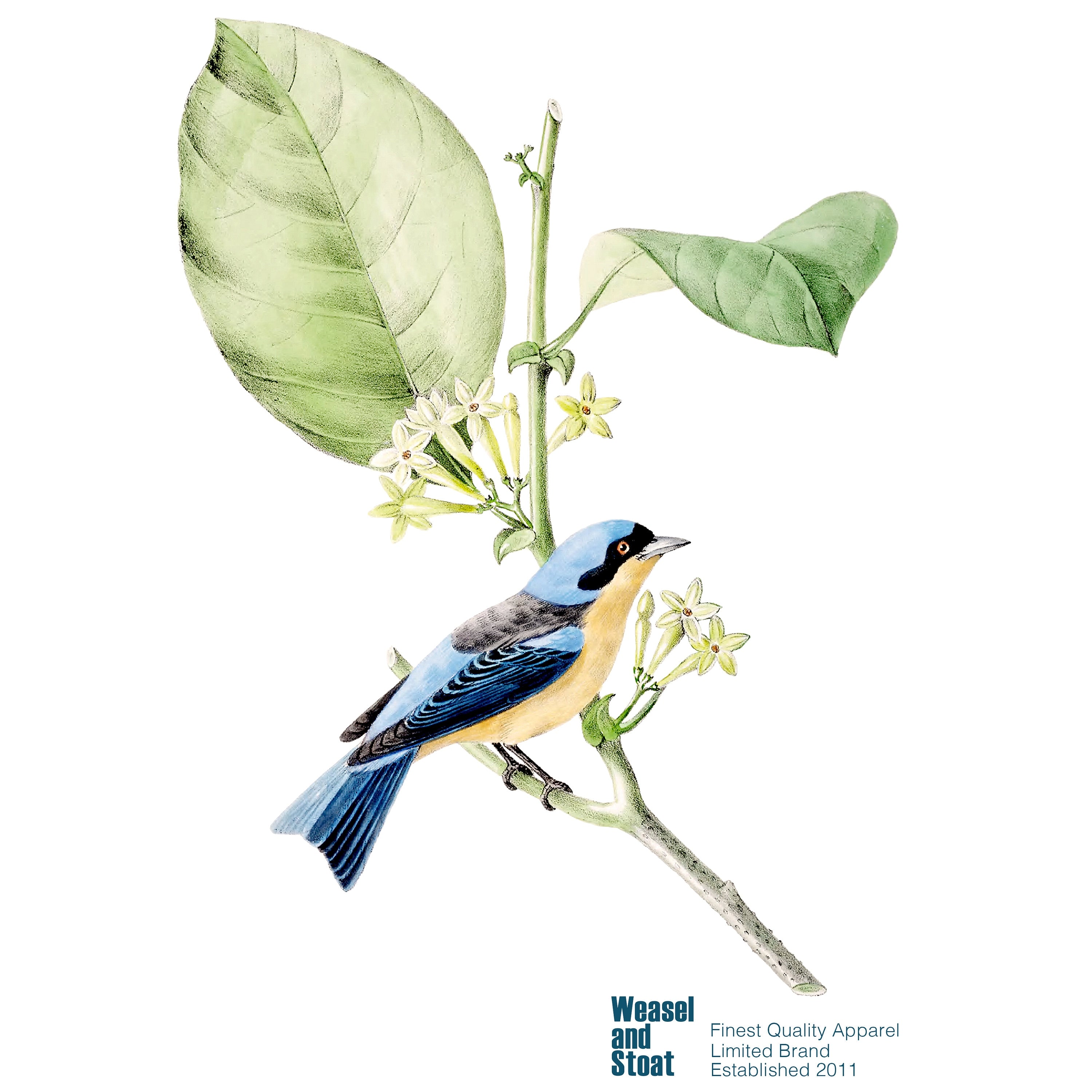 Vintage Blue Bird Illustration White T-Shirt - Classic Botanical Still Life Tee - Unisex Boho Apparel - Aesthetic T Gift- Retro Style Shirt
